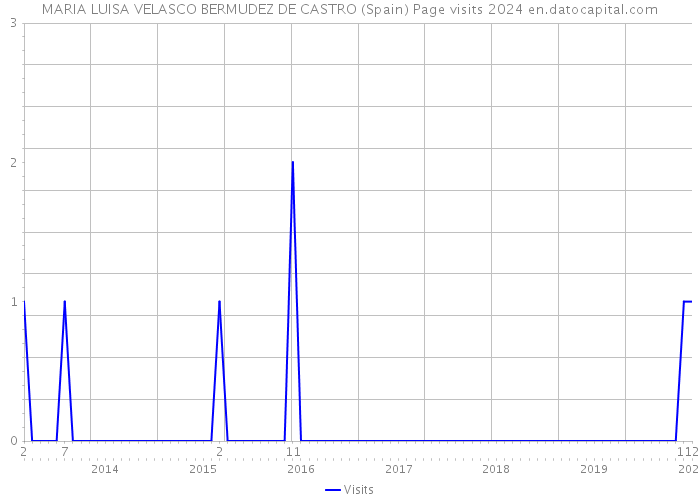 MARIA LUISA VELASCO BERMUDEZ DE CASTRO (Spain) Page visits 2024 