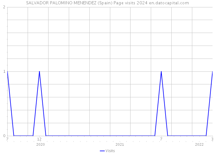 SALVADOR PALOMINO MENENDEZ (Spain) Page visits 2024 
