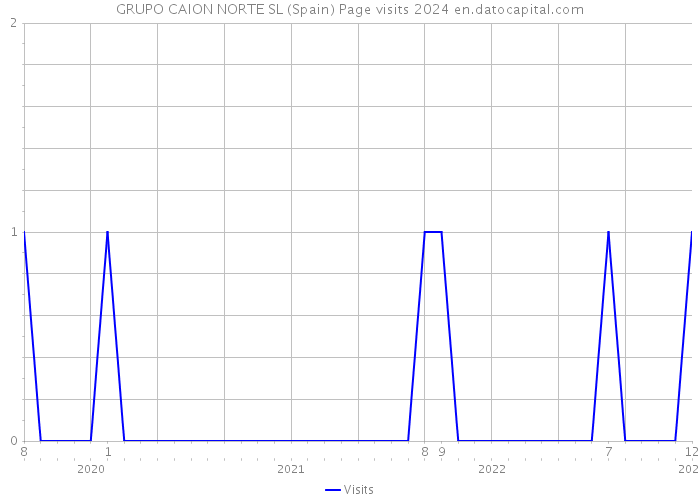GRUPO CAION NORTE SL (Spain) Page visits 2024 