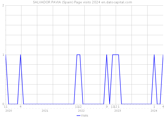 SALVADOR PAVIA (Spain) Page visits 2024 