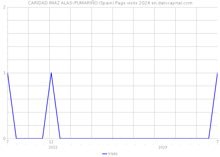 CARIDAD IMAZ ALAS-PUMARIÑO (Spain) Page visits 2024 
