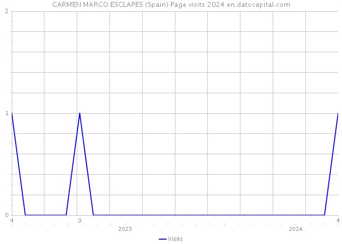 CARMEN MARCO ESCLAPES (Spain) Page visits 2024 