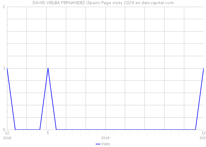 DAVID VIELBA FERNANDEZ (Spain) Page visits 2024 