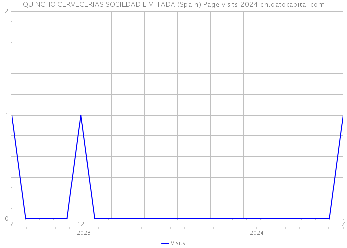 QUINCHO CERVECERIAS SOCIEDAD LIMITADA (Spain) Page visits 2024 