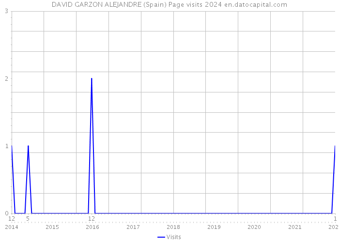 DAVID GARZON ALEJANDRE (Spain) Page visits 2024 