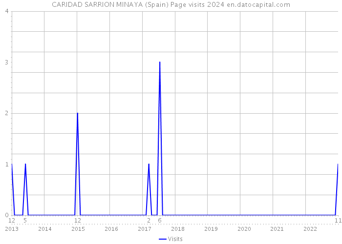 CARIDAD SARRION MINAYA (Spain) Page visits 2024 