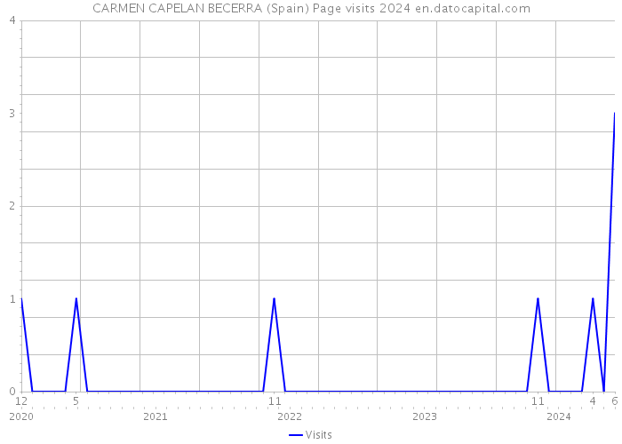 CARMEN CAPELAN BECERRA (Spain) Page visits 2024 
