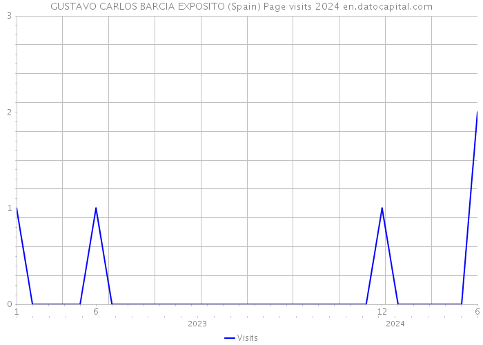 GUSTAVO CARLOS BARCIA EXPOSITO (Spain) Page visits 2024 