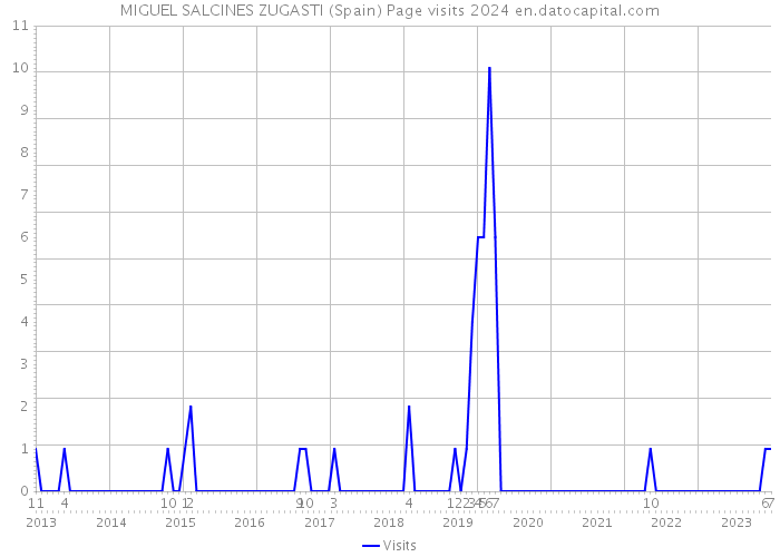 MIGUEL SALCINES ZUGASTI (Spain) Page visits 2024 