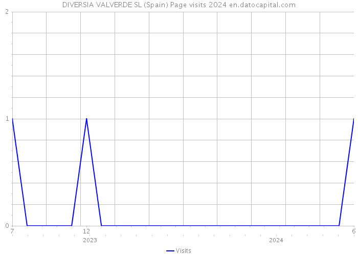 DIVERSIA VALVERDE SL (Spain) Page visits 2024 