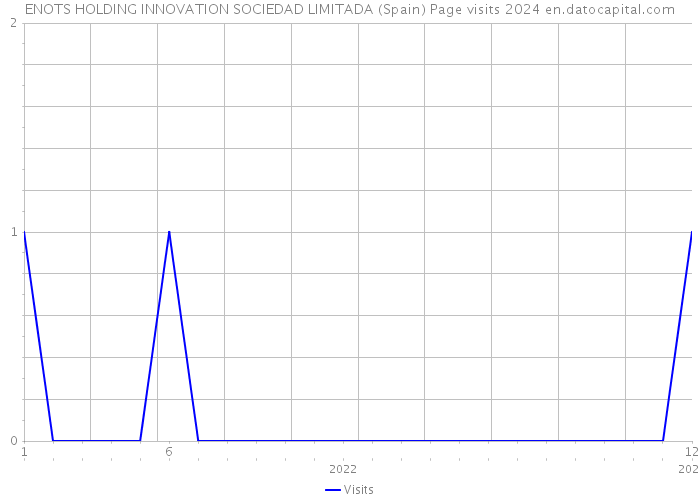 ENOTS HOLDING INNOVATION SOCIEDAD LIMITADA (Spain) Page visits 2024 