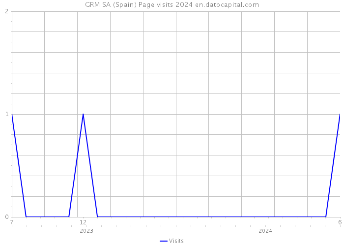 GRM SA (Spain) Page visits 2024 