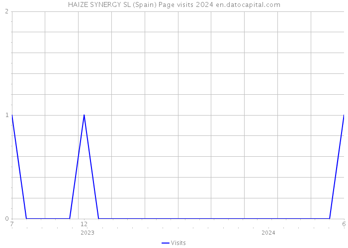 HAIZE SYNERGY SL (Spain) Page visits 2024 