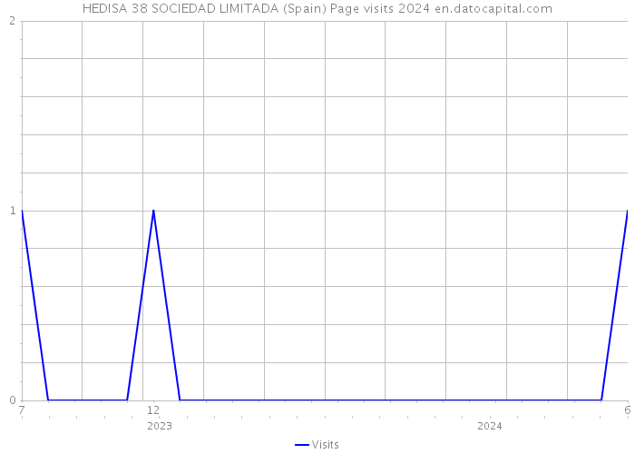 HEDISA 38 SOCIEDAD LIMITADA (Spain) Page visits 2024 