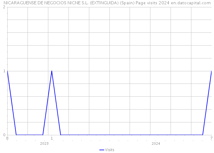 NICARAGUENSE DE NEGOCIOS NICNE S.L. (EXTINGUIDA) (Spain) Page visits 2024 