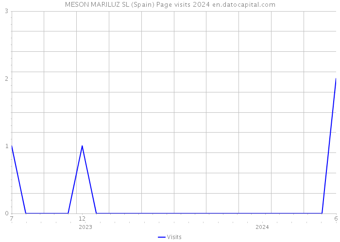 MESON MARILUZ SL (Spain) Page visits 2024 