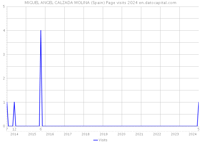 MIGUEL ANGEL CALZADA MOLINA (Spain) Page visits 2024 