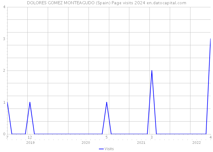 DOLORES GOMEZ MONTEAGUDO (Spain) Page visits 2024 