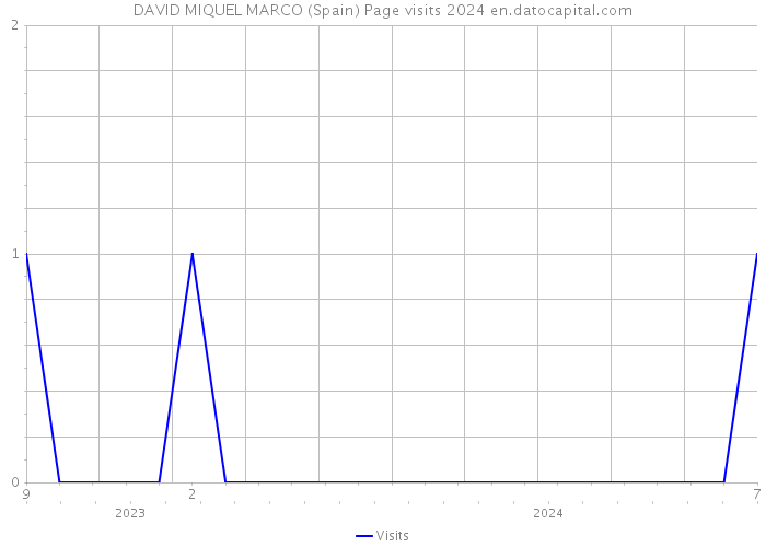 DAVID MIQUEL MARCO (Spain) Page visits 2024 