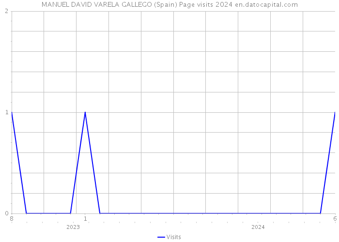 MANUEL DAVID VARELA GALLEGO (Spain) Page visits 2024 
