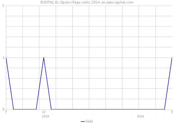 PUNTAL SL (Spain) Page visits 2024 