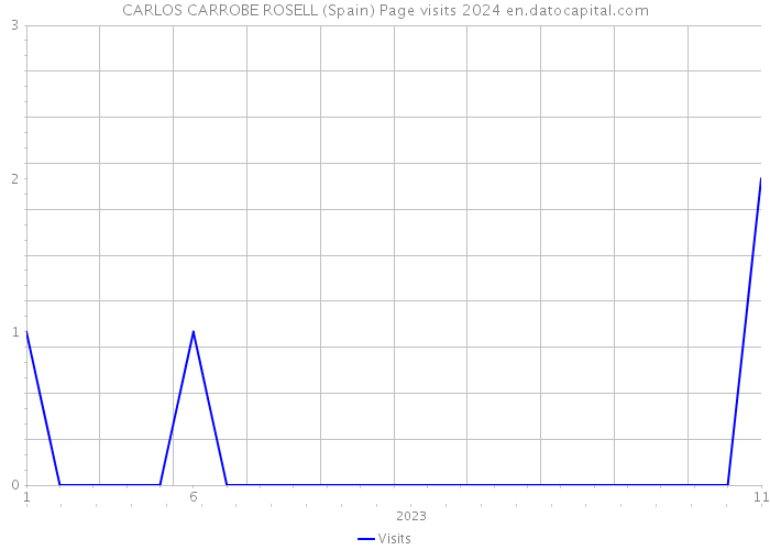 CARLOS CARROBE ROSELL (Spain) Page visits 2024 