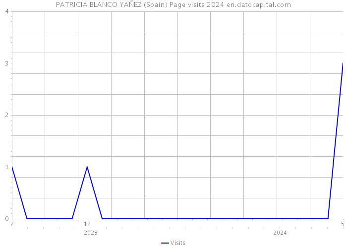 PATRICIA BLANCO YAÑEZ (Spain) Page visits 2024 