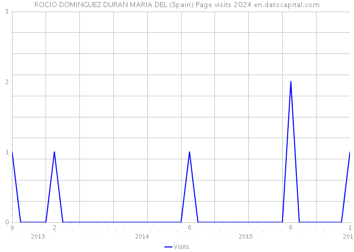 ROCIO DOMINGUEZ DURAN MARIA DEL (Spain) Page visits 2024 