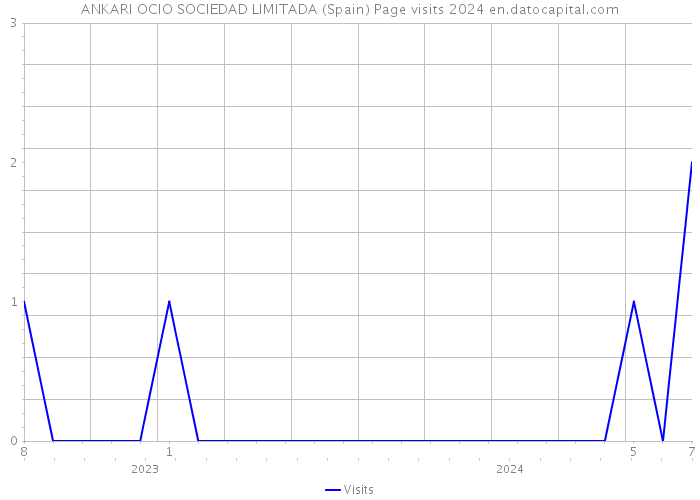 ANKARI OCIO SOCIEDAD LIMITADA (Spain) Page visits 2024 