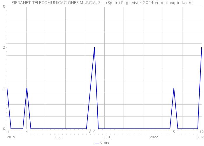 FIBRANET TELECOMUNICACIONES MURCIA, S.L. (Spain) Page visits 2024 