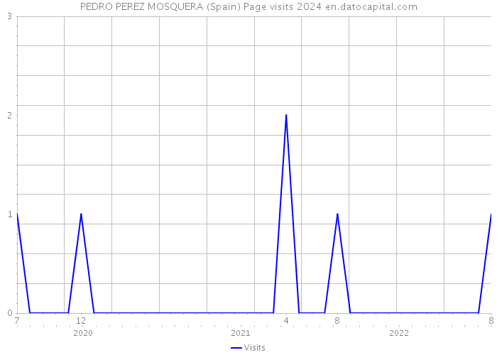 PEDRO PEREZ MOSQUERA (Spain) Page visits 2024 