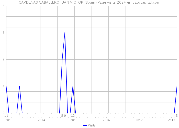 CARDENAS CABALLERO JUAN VICTOR (Spain) Page visits 2024 