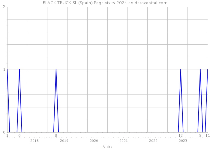 BLACK TRUCK SL (Spain) Page visits 2024 