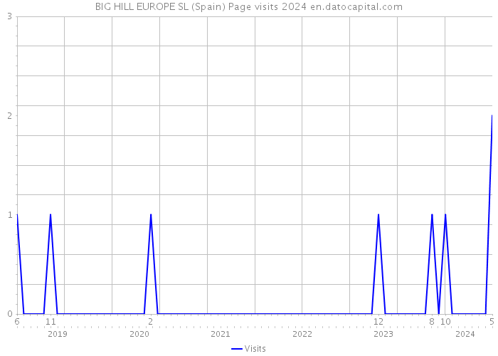 BIG HILL EUROPE SL (Spain) Page visits 2024 