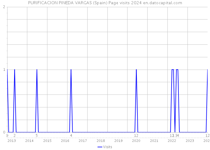 PURIFICACION PINEDA VARGAS (Spain) Page visits 2024 