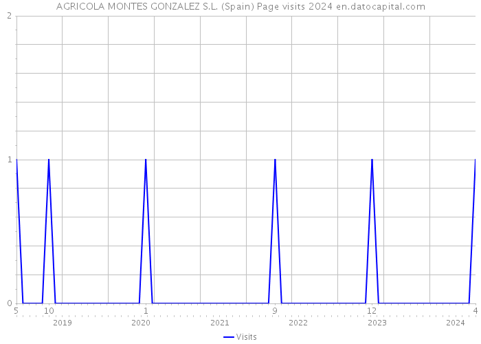 AGRICOLA MONTES GONZALEZ S.L. (Spain) Page visits 2024 