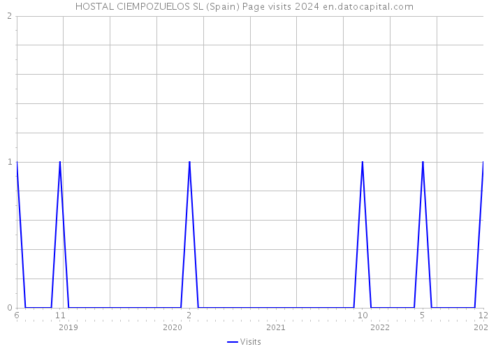 HOSTAL CIEMPOZUELOS SL (Spain) Page visits 2024 