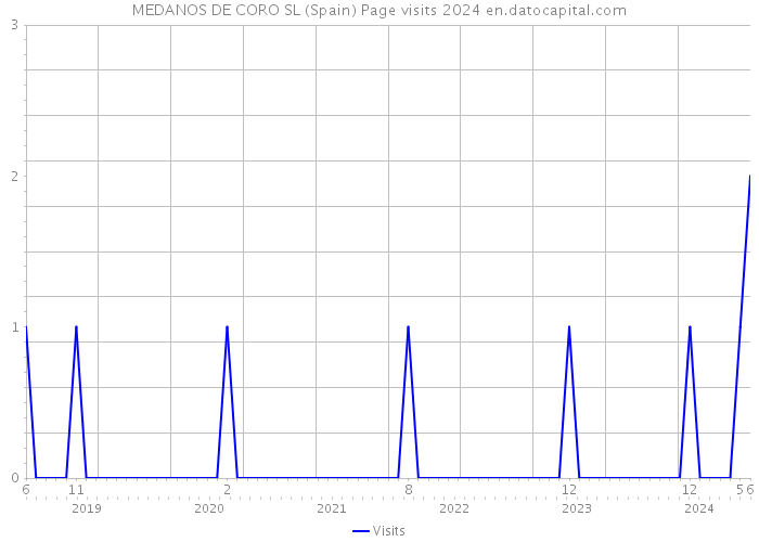 MEDANOS DE CORO SL (Spain) Page visits 2024 