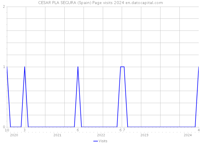 CESAR PLA SEGURA (Spain) Page visits 2024 