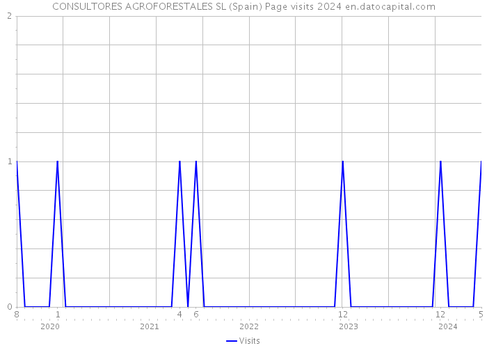 CONSULTORES AGROFORESTALES SL (Spain) Page visits 2024 