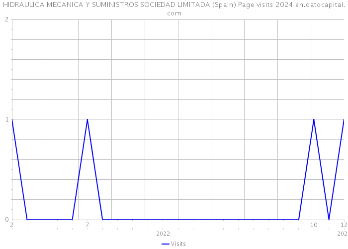 HIDRAULICA MECANICA Y SUMINISTROS SOCIEDAD LIMITADA (Spain) Page visits 2024 
