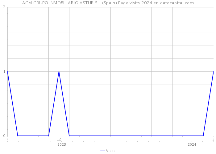 AGM GRUPO INMOBILIARIO ASTUR SL. (Spain) Page visits 2024 