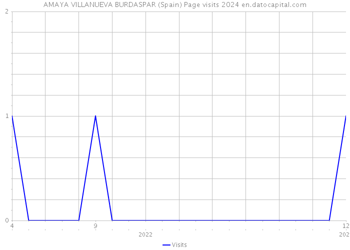 AMAYA VILLANUEVA BURDASPAR (Spain) Page visits 2024 