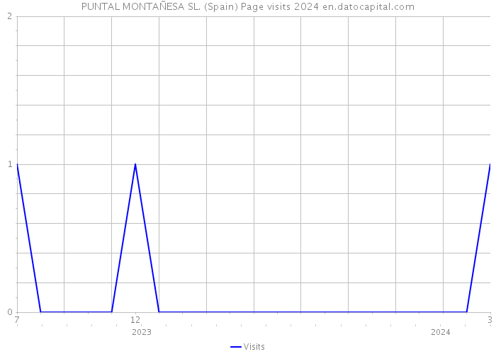 PUNTAL MONTAÑESA SL. (Spain) Page visits 2024 