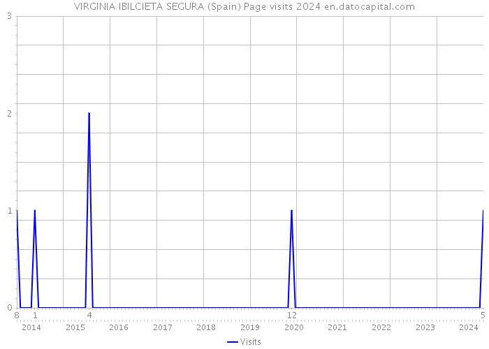 VIRGINIA IBILCIETA SEGURA (Spain) Page visits 2024 