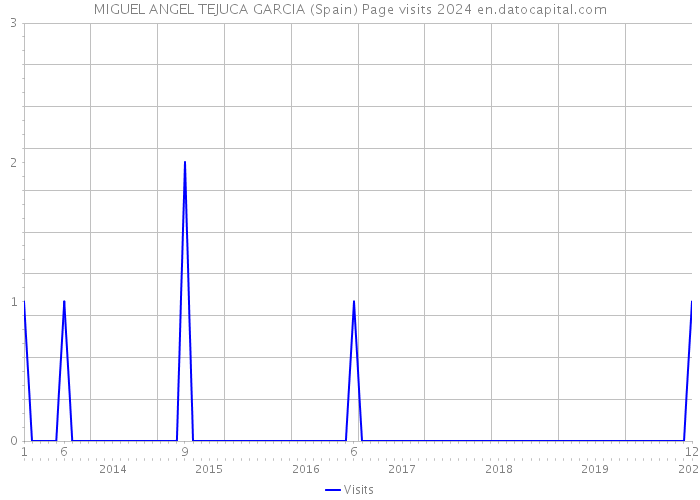 MIGUEL ANGEL TEJUCA GARCIA (Spain) Page visits 2024 