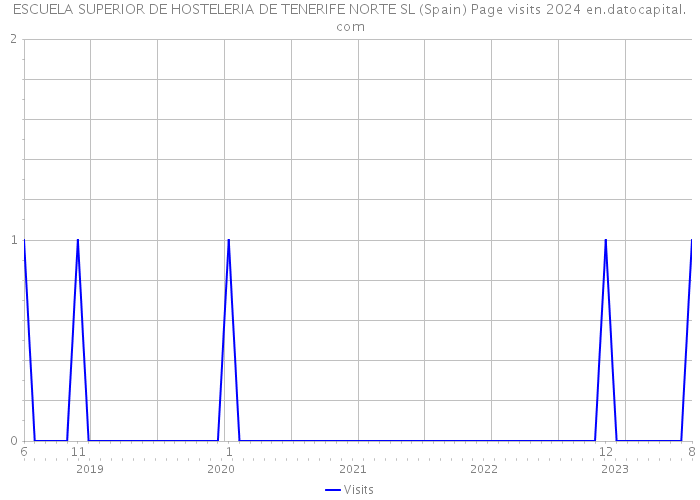 ESCUELA SUPERIOR DE HOSTELERIA DE TENERIFE NORTE SL (Spain) Page visits 2024 