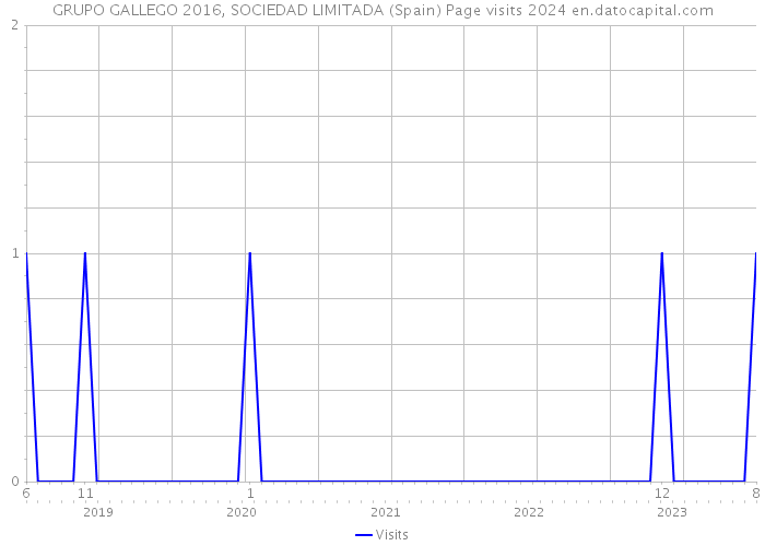 GRUPO GALLEGO 2016, SOCIEDAD LIMITADA (Spain) Page visits 2024 