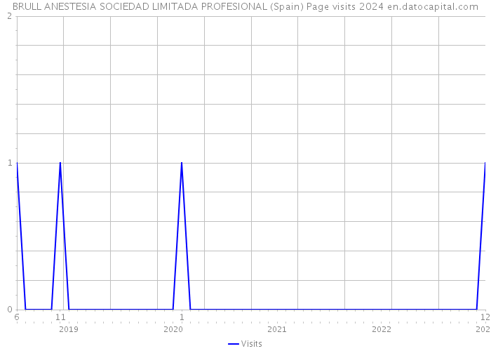 BRULL ANESTESIA SOCIEDAD LIMITADA PROFESIONAL (Spain) Page visits 2024 