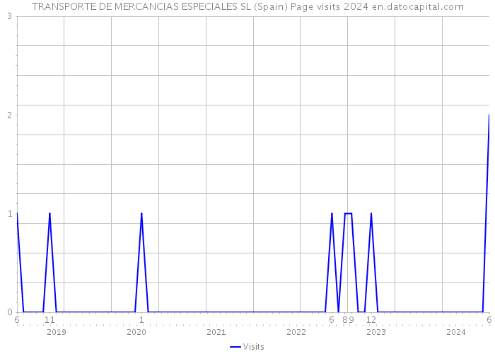 TRANSPORTE DE MERCANCIAS ESPECIALES SL (Spain) Page visits 2024 